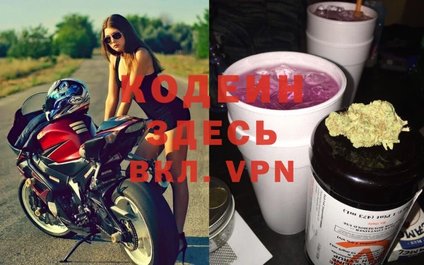 гашик Данков