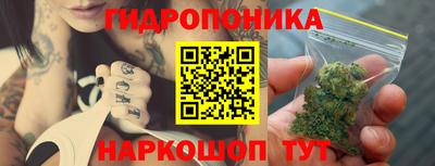 гидропоника Новодвинск