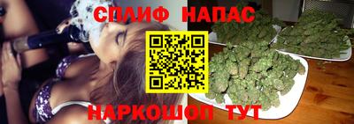 стафф Новозыбков