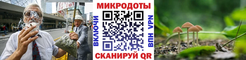 блэк спрут ТОР  как найти   Семилуки  Псилоцибиновые грибы Psilocybe 