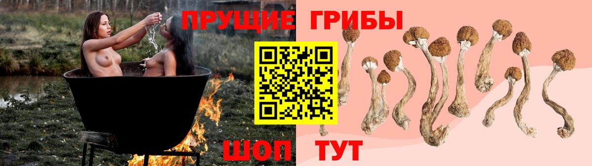 Галлюциногенные грибы Psilocybine cubensis Семилуки