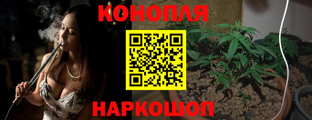 Бошки Шишки тримм Семилуки