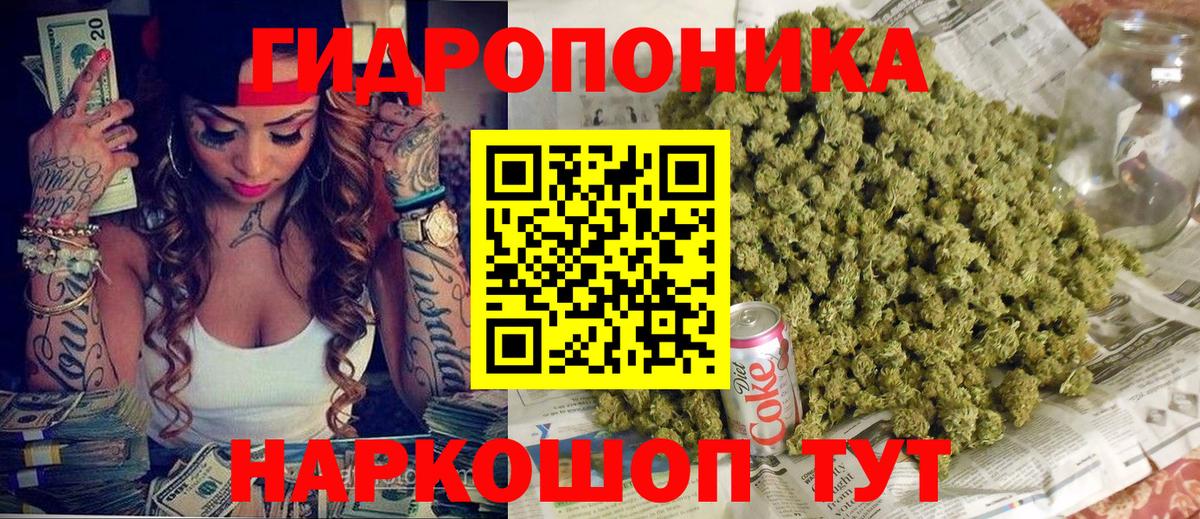 ГАШ Семилуки